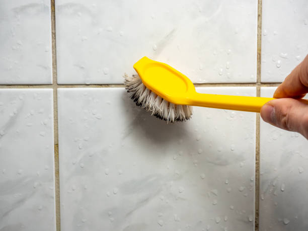 Mold Testing and Removal in Weleetka, OK