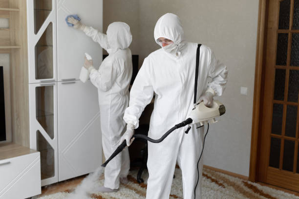 Best Mold Testing  in Weleetka, OK