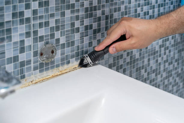 Best Black Mold Removal  in Weleetka, OK