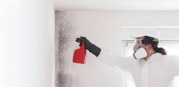 Mold Testing and Removal in Weleetka, OK