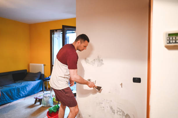 Best Mold Testing and Removal  in Weleetka, OK