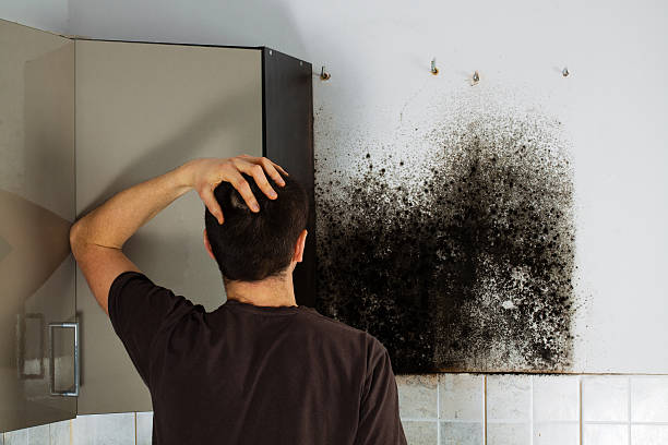 Best Mold Testing  in Weleetka, OK
